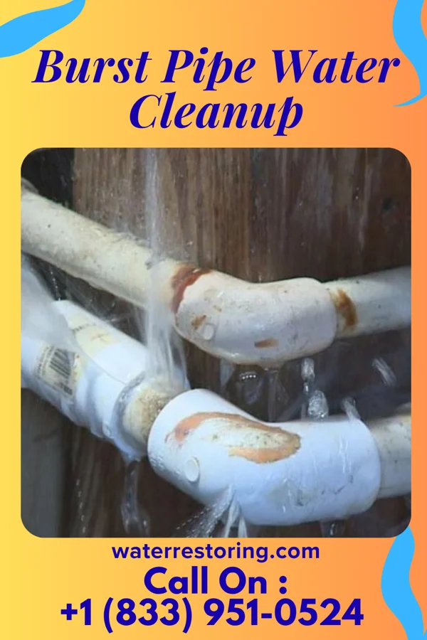 Burst Pipe Water Cleanup in Rodman, IA