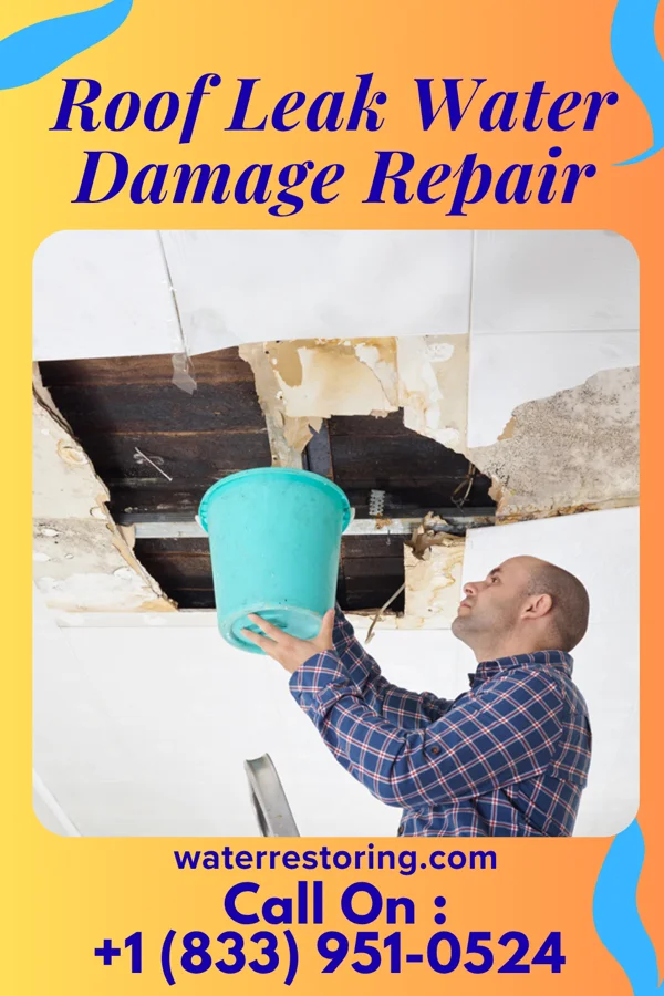 Roof Leak Water Damage Repair in Rodman, IA